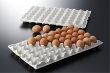 写真：鶏卵用長方形トレー