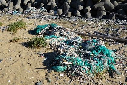 砂浜のプラスチックごみ採取（漁網、容器、ペットボトル、カップ、ストローなど）