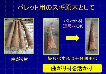 間伐材等の低位利用材を活用したオール木質スギパレットの開発の写真1