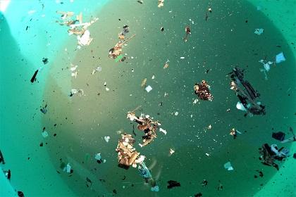 ふるい終わった砂を海水に投入し攪拌後に浮いてきた木くずやプラスチックごみ