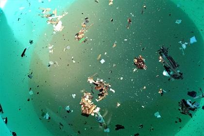 ふるい終わった砂を海水に投入し攪拌後に浮いてきた木くずやプラスチックごみ