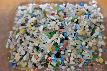 回収したカラフルなマイクロプラスチック