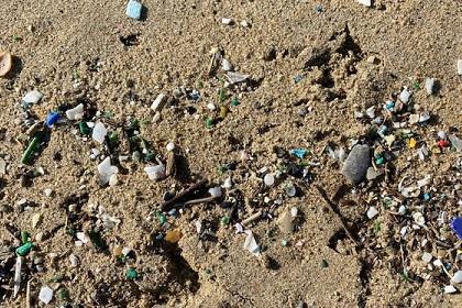 砂浜のプラスチックごみ採取(満潮線)
