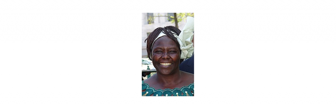 Wangari Maathai氏
