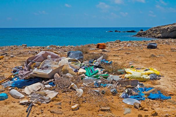 海岸に打ち上げられたプラスチックごみの画像