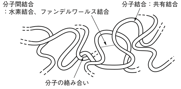 高分子ポリマーの３次元構造概略図